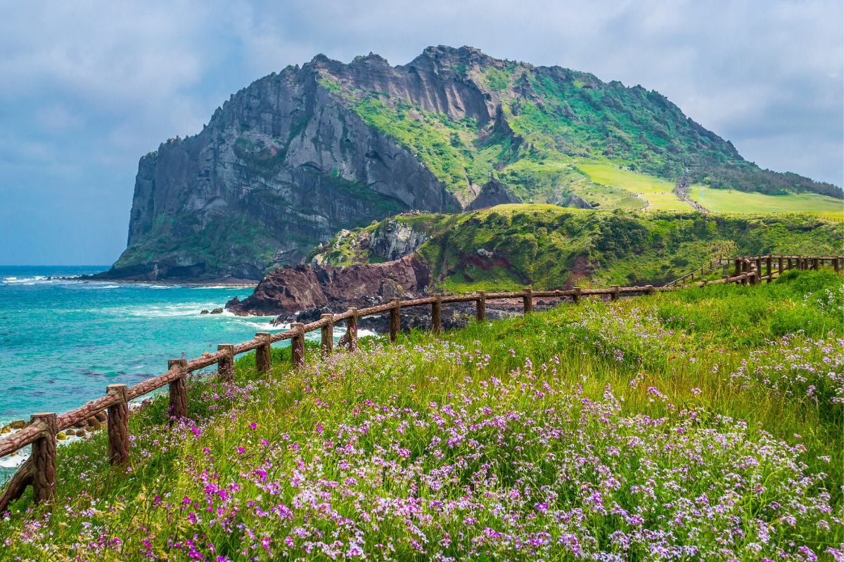 Jeju Island je klenotom Južnej Kórey (zdroj obrázku: canva.com)